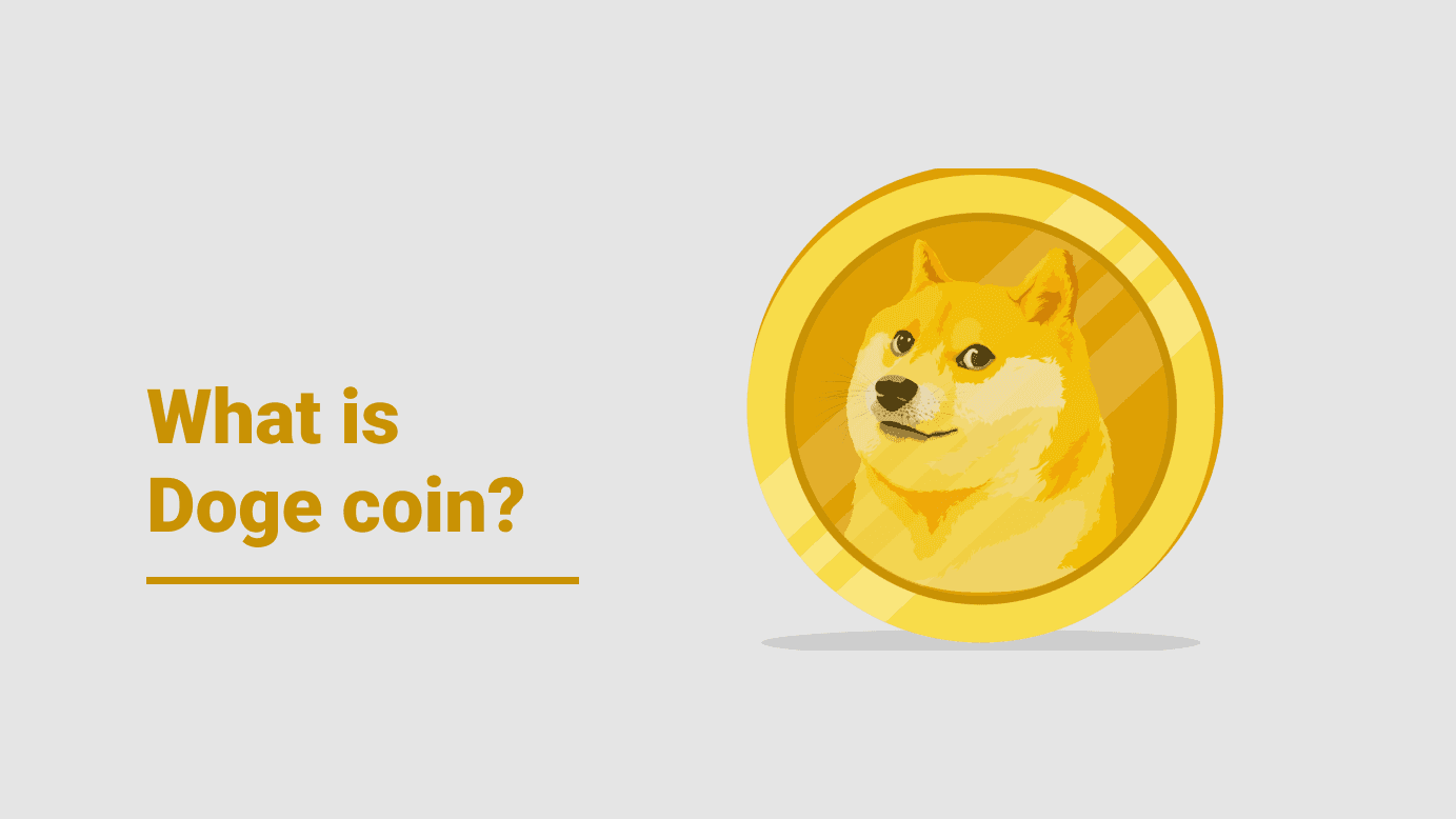 learn-articl