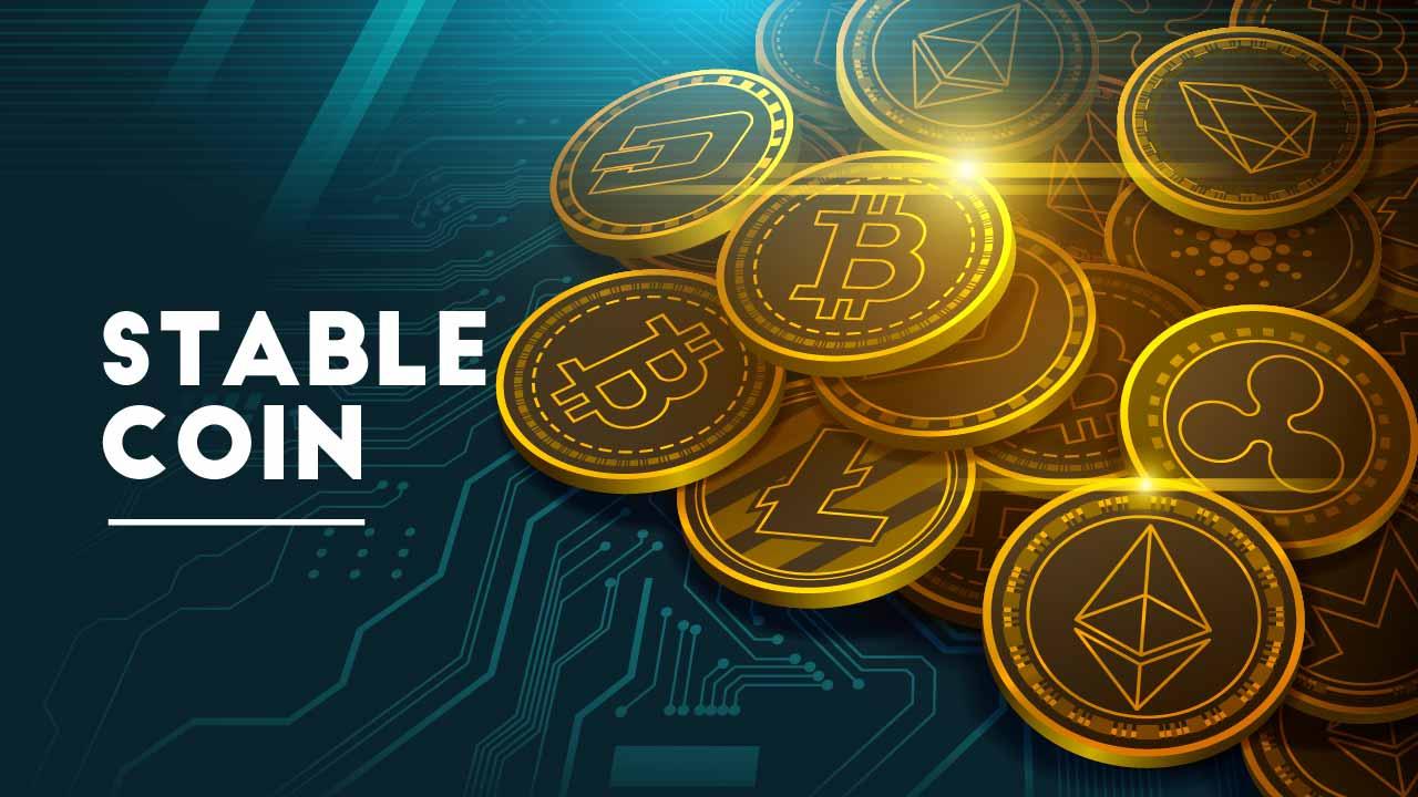 learn-articl